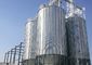Hopper Bolt Feed Grain Bin With Conveyor Elevator Handling Equipments